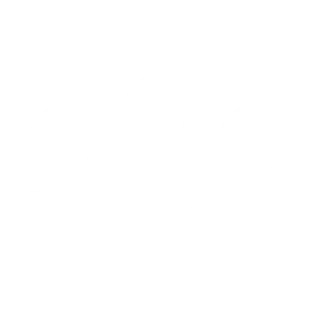 participants